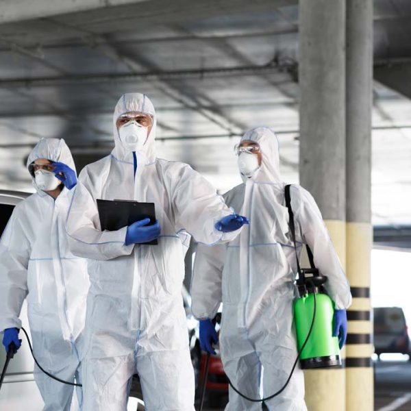 جدة: فريق خبراء مرخصين وحائزين على جوائز، متخصصون في إزالة الصراصير والنمل والجرذان والفئران