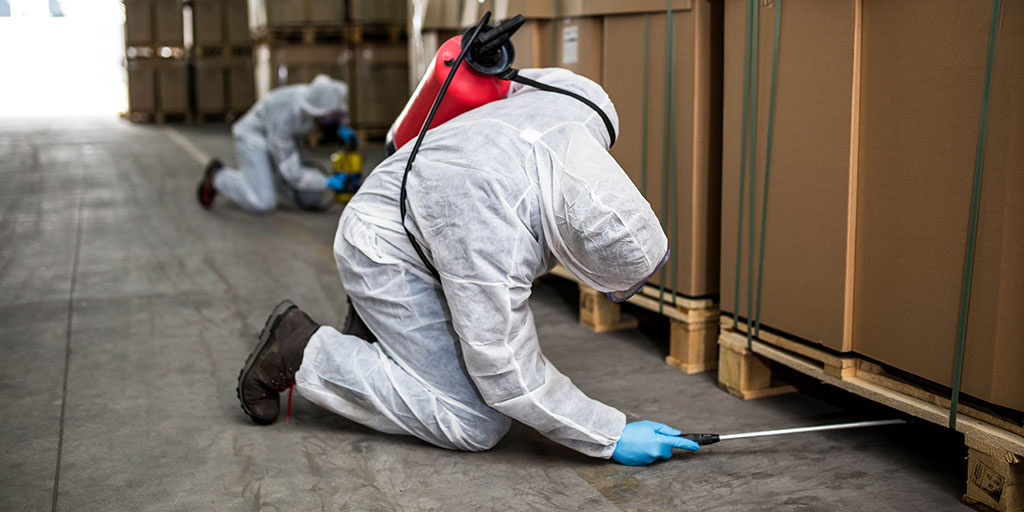 أبرِز أن فريقك معتمد من وزارة الصحة السعودية، ومدرب على استخدام أحدث المبيدات المصرح بها، مع خبرة تتجاوز 20 عامًا